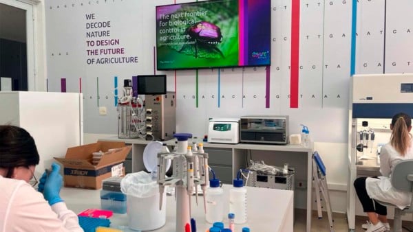 Laboratório da Bsafe