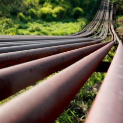 O gargalo de infraestrutura que trava a amônia verde no Brasil