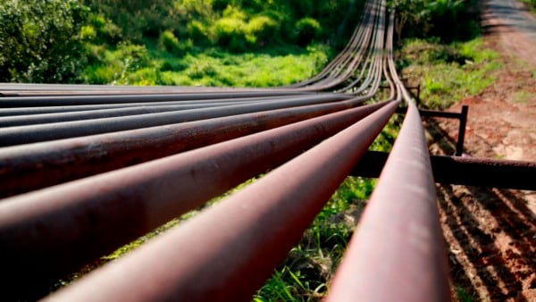 O gargalo de infraestrutura que trava a amônia verde no Brasil