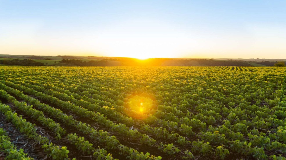 Verão terá chuva abaixo do normal | Crédito: Schutterstock Verão terá chuva abaixo do normal | Crédito: Schutterstock