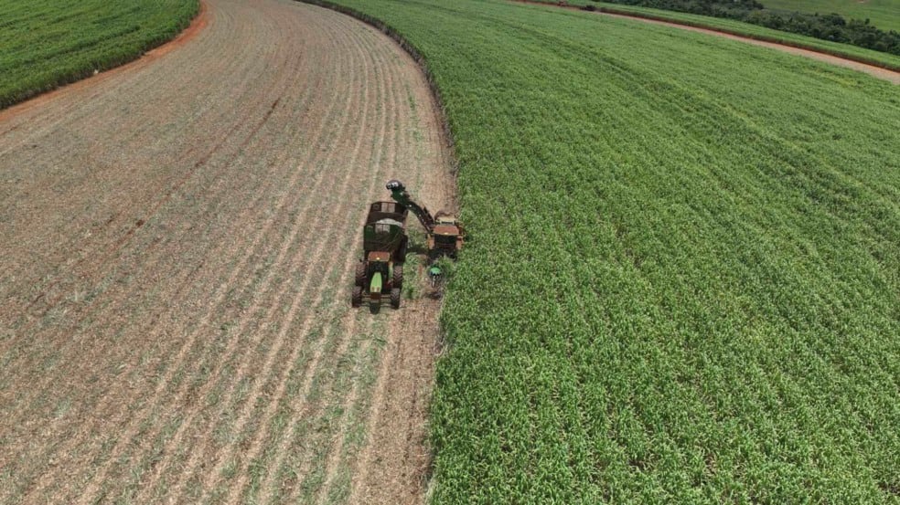 Santa Terezinha canavial Santa Terezinha canavial