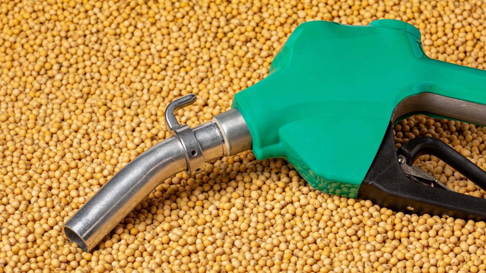 Biodiesel (B16) | Crédito: Schutterstock Biodiesel (B16) | Crédito: Schutterstock