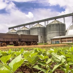 Alian&ccedil;a Agr&iacute;cola vai &agrave; Justi&ccedil;a para se proteger dos credores