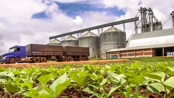 Deu a louca no russo: O misterioso sumiço da trading Aliança Agrícola