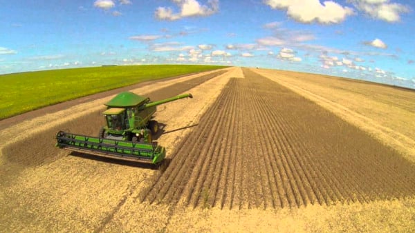 colheita de soja no Mato Grosso