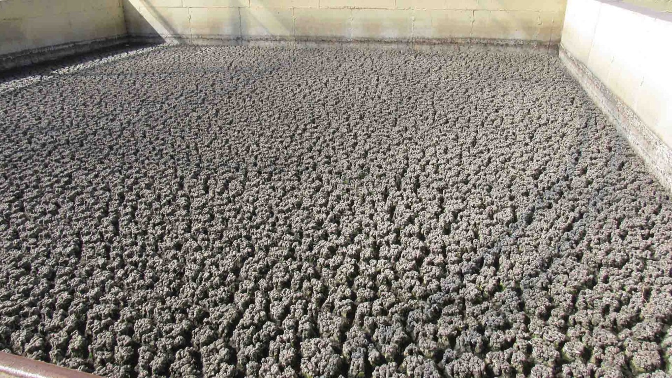 Lodo de esgoto - pronto para aplicação na terra