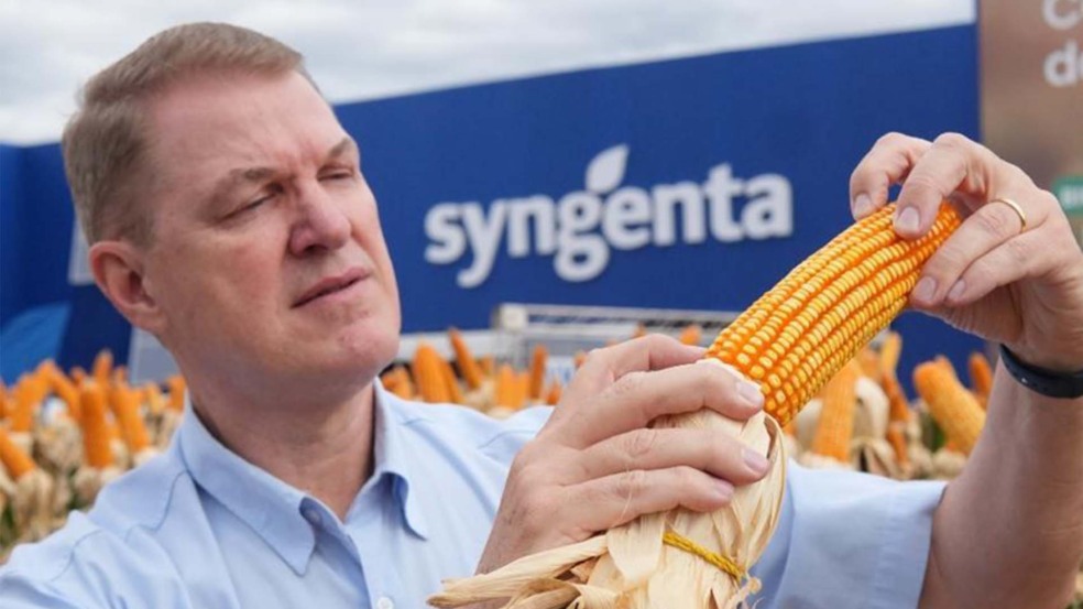 Carlos Hentschke, presidente da Syngenta Seeds Brasil, é filho de produtores e chegou à companhia depois de 30 anos na Corteva | Crédito: Divulgação