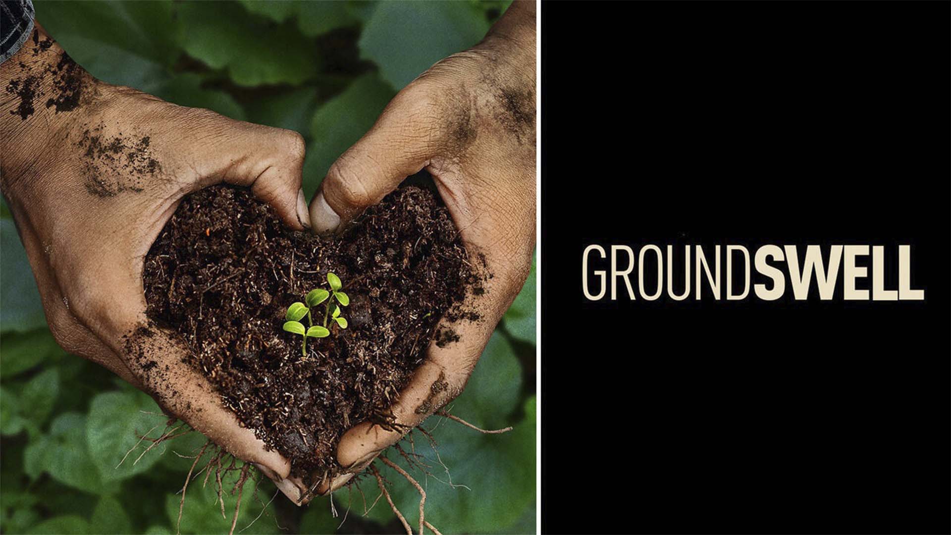 Inspirador, filme sobre agro regenerativo dribla segurança alimentar