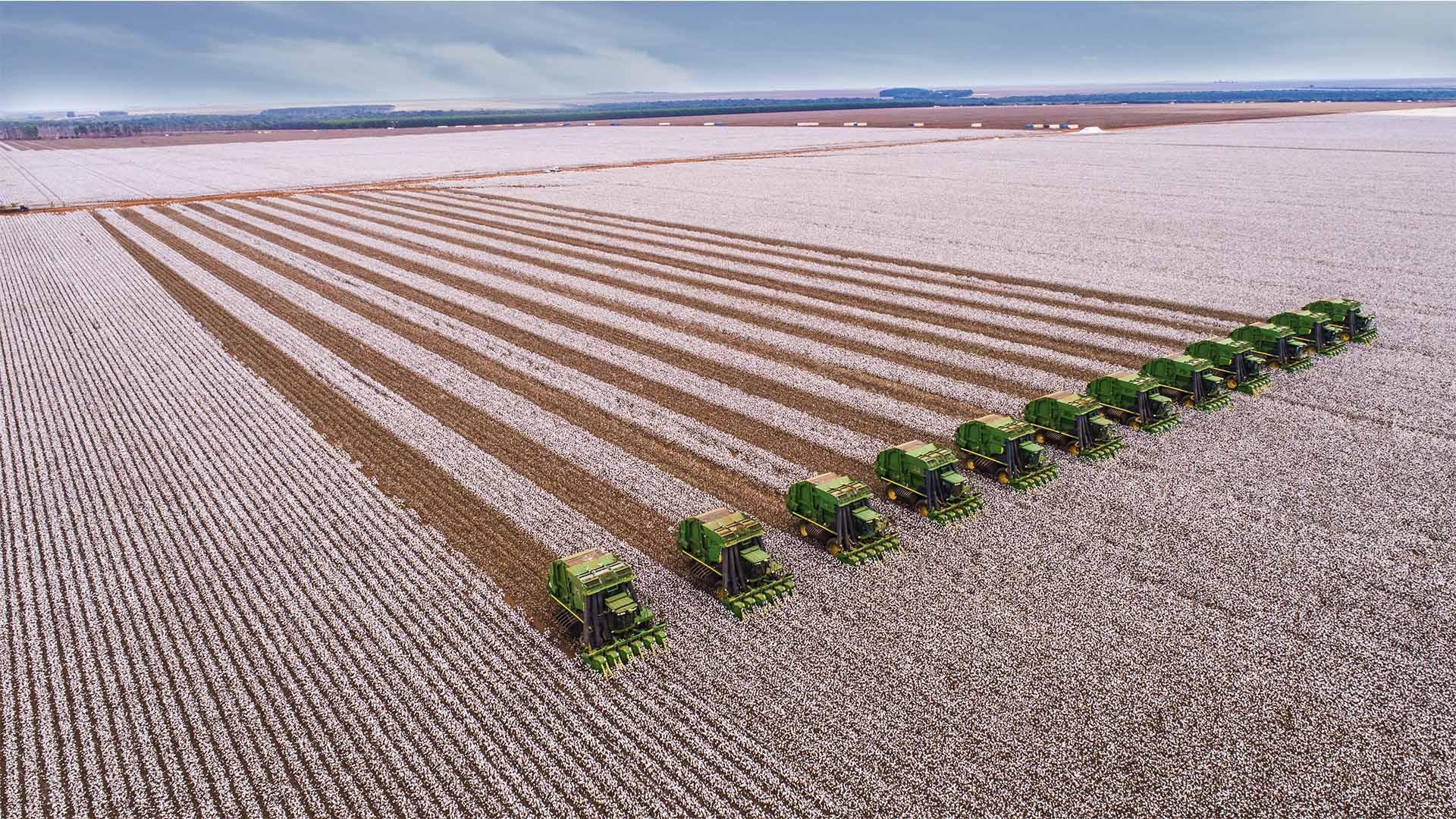 Por que o BTG elevou as projeções de lucro para a SLC Agrícola