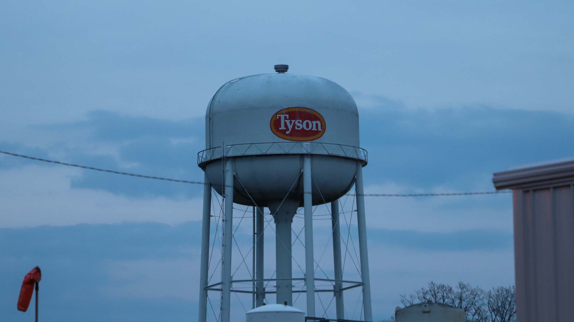 Tyson abre mão de 20% do abate. MBRF e JBS agradecem