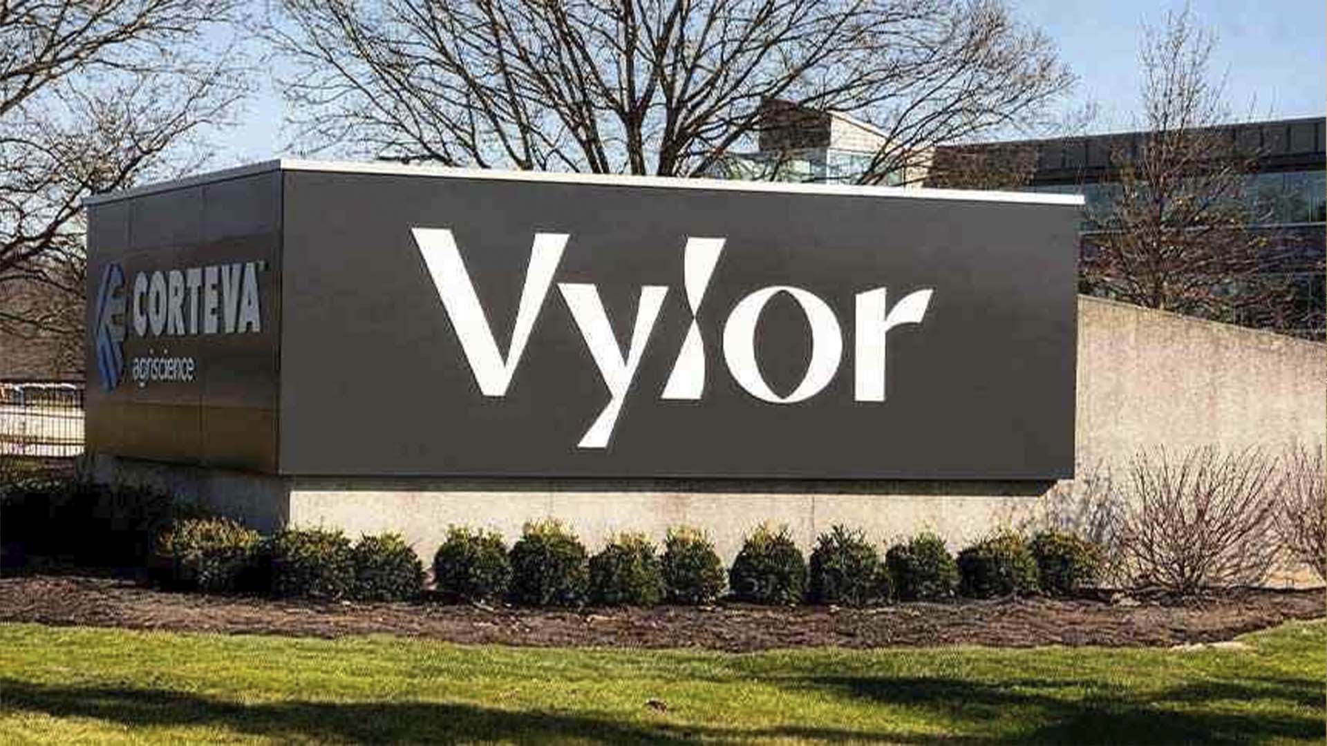Vylor, empresa que será criada após cisão de negócios da Corteva; sementes