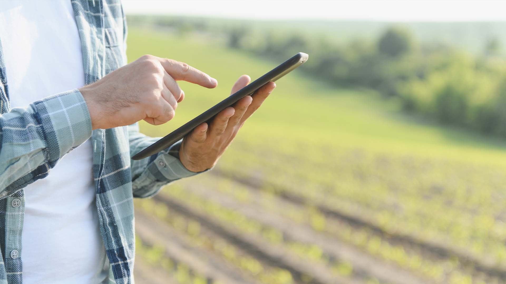 Artificial Intelligence Adoption Accelerates on Farms, McKinsey Says